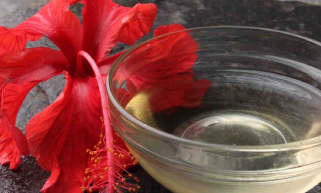 5 ways to use hibiscus for hair: Fix dandruff, dryness and more