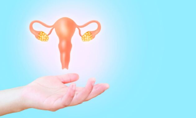 Uterine fibroids: Definition, symptoms, and treatment