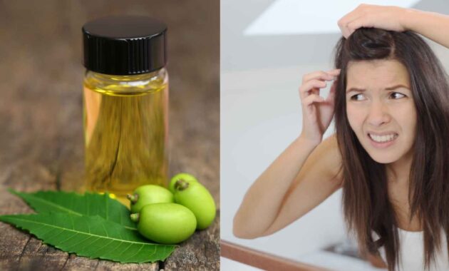 Neem oil for lice: How to get rid of hair lice naturally