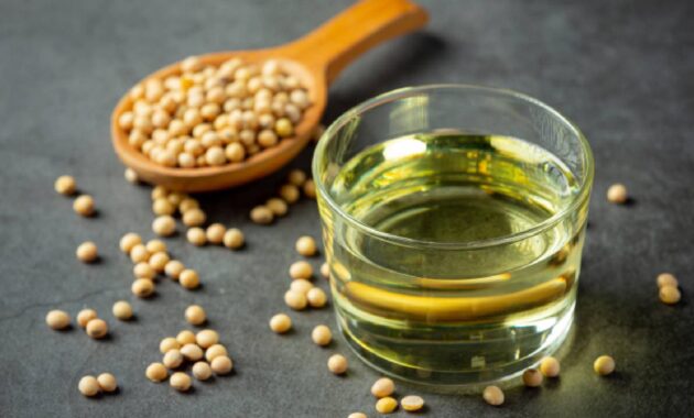 Seed oils for healthy gut: What are they and how are they useful