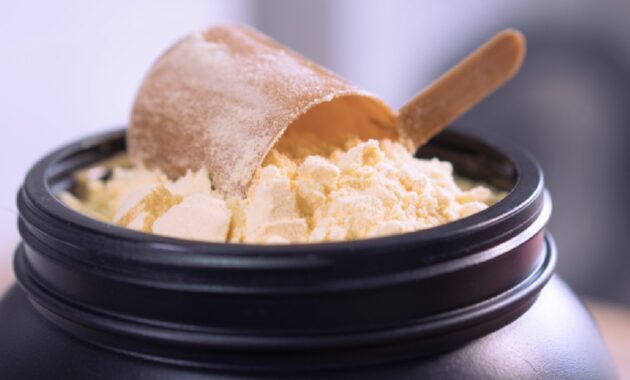 5 best casein protein powders in India