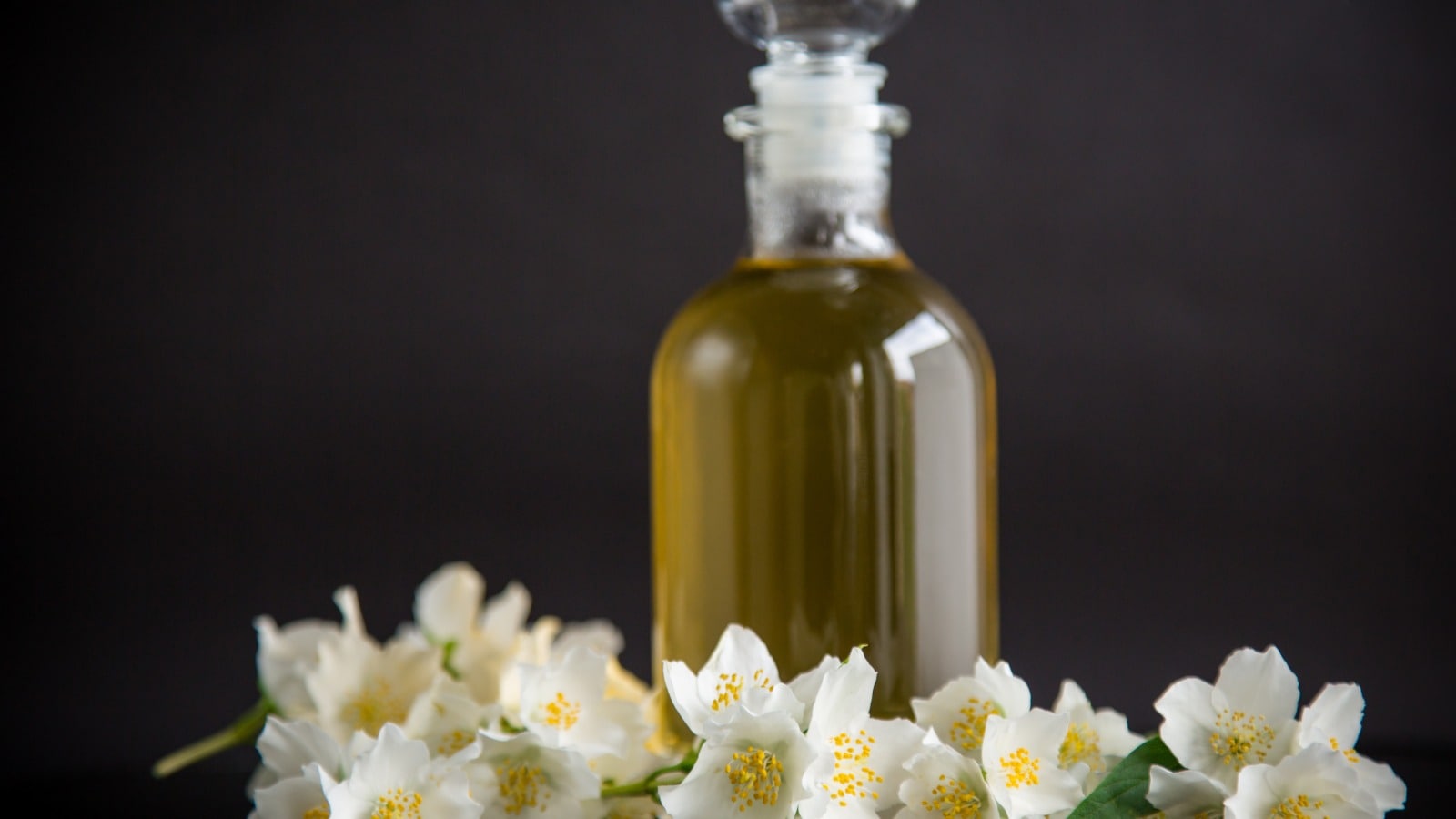 5 Best jasmine hair oils to get luscious and silky hair