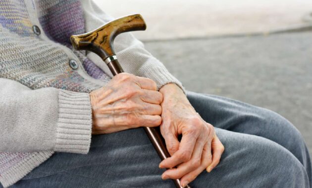 5 best walking sticks for seniors to improve mobility