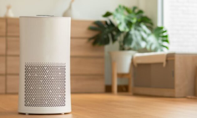 Best air purifiers under Rs 10000: Top 5 picks for healthy breathing