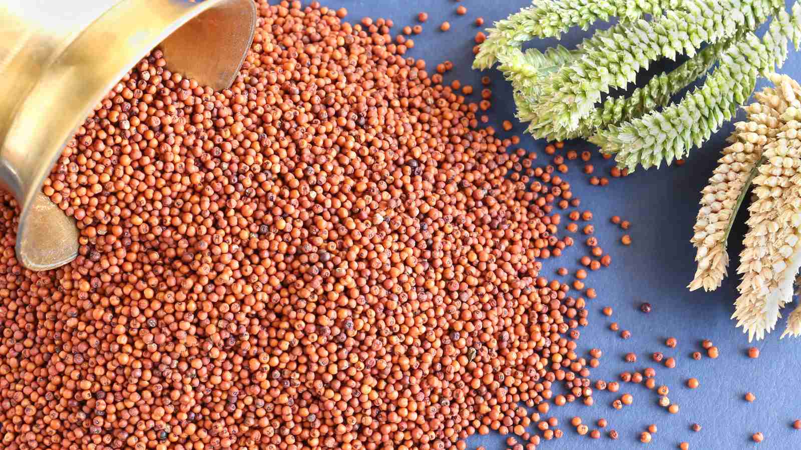 Benefits of eating ragi for weight loss