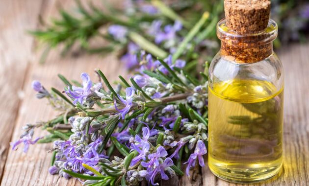 Best rosemary oil for silky and smooth hair: Top 5 picks!