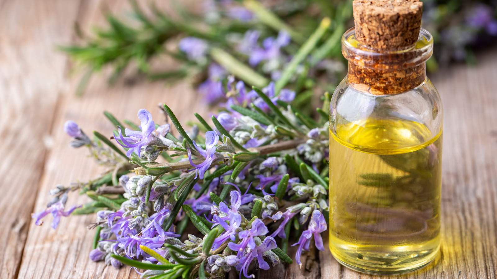 Best rosemary oil for silky and smooth hair: Top 5 picks!