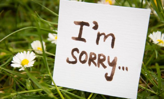 Tips to apologise effectively | HealthShots