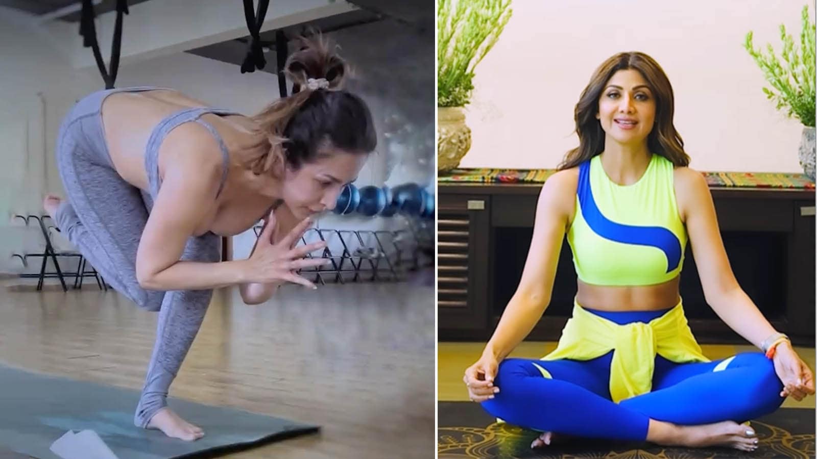 On Yoga Day, Bollywood celebs reveal how yoga empowers them