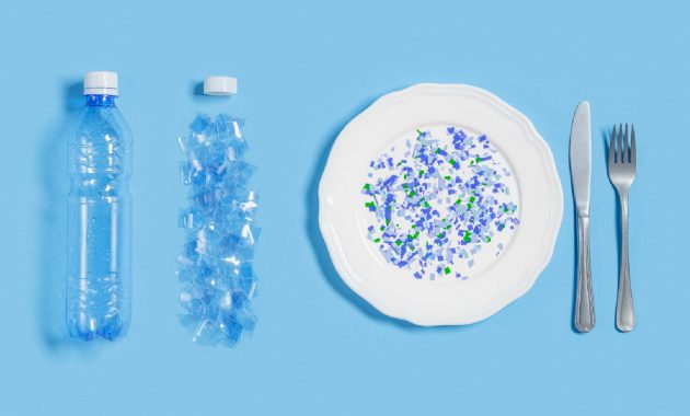 World Environment Day: How microplastics affect gut health