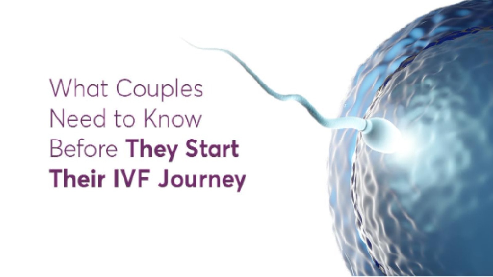 What Couples Need to Know Before They Start Their IVF Journey