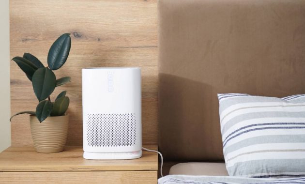 Best Honeywell air purifiers: 7 top picks for cleaner indoor air