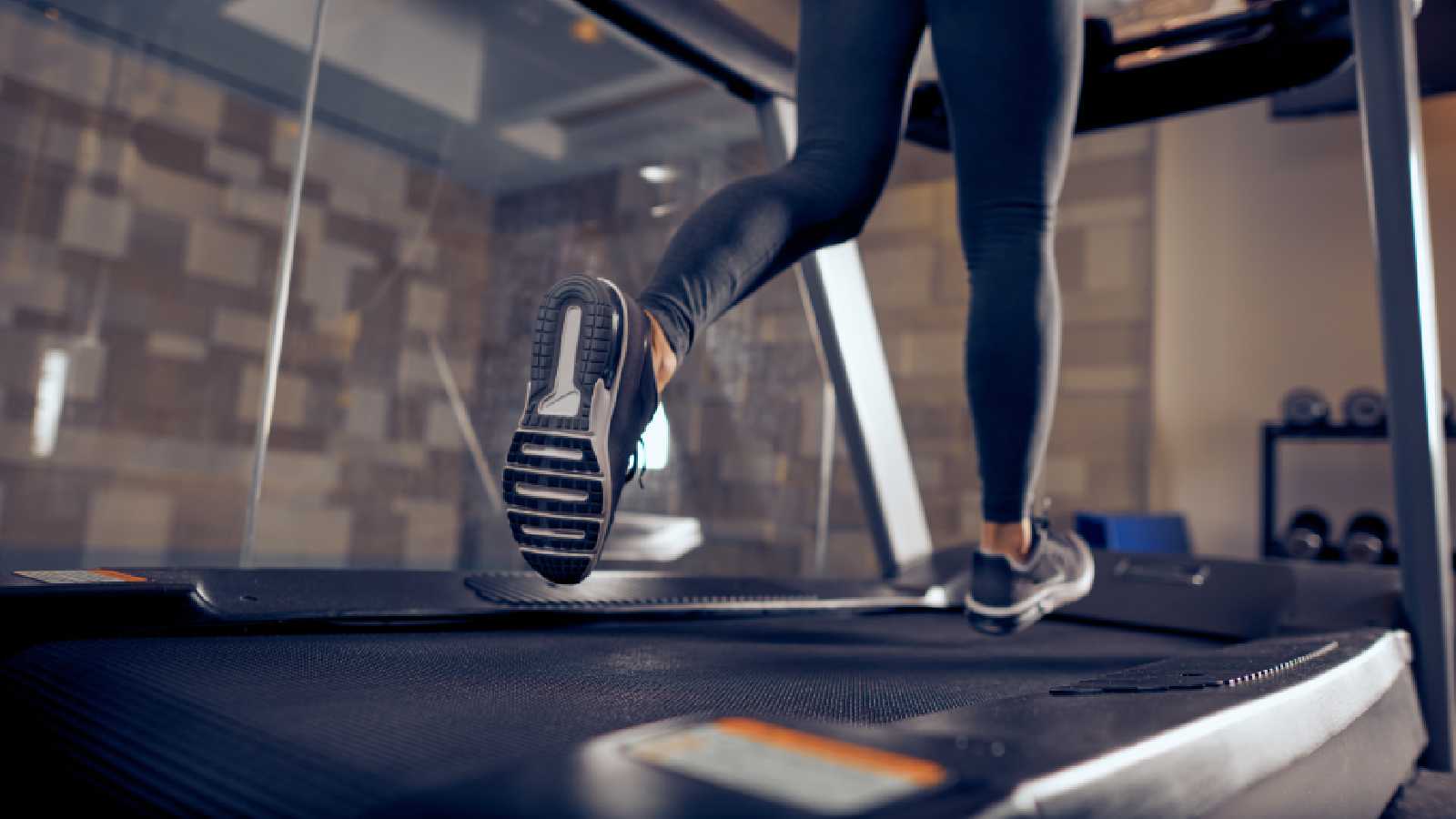 Best PowerMax treadmills: 6 top choices for home use