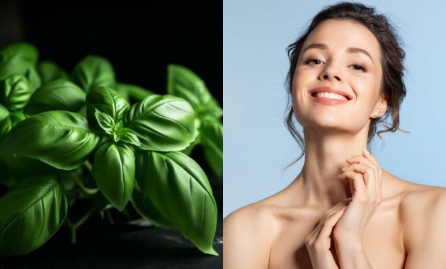 Basil for skin: 7 ways to use it