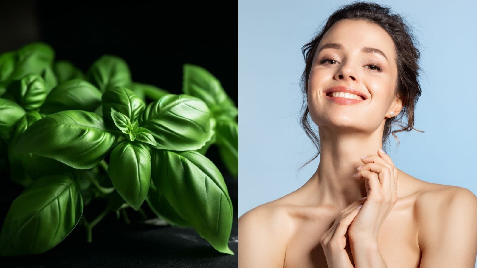 Basil for skin: 7 ways to use it