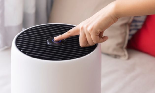 Diwali special deals: Get air purifiers at 75% off during the Amazon Great Indian Festival