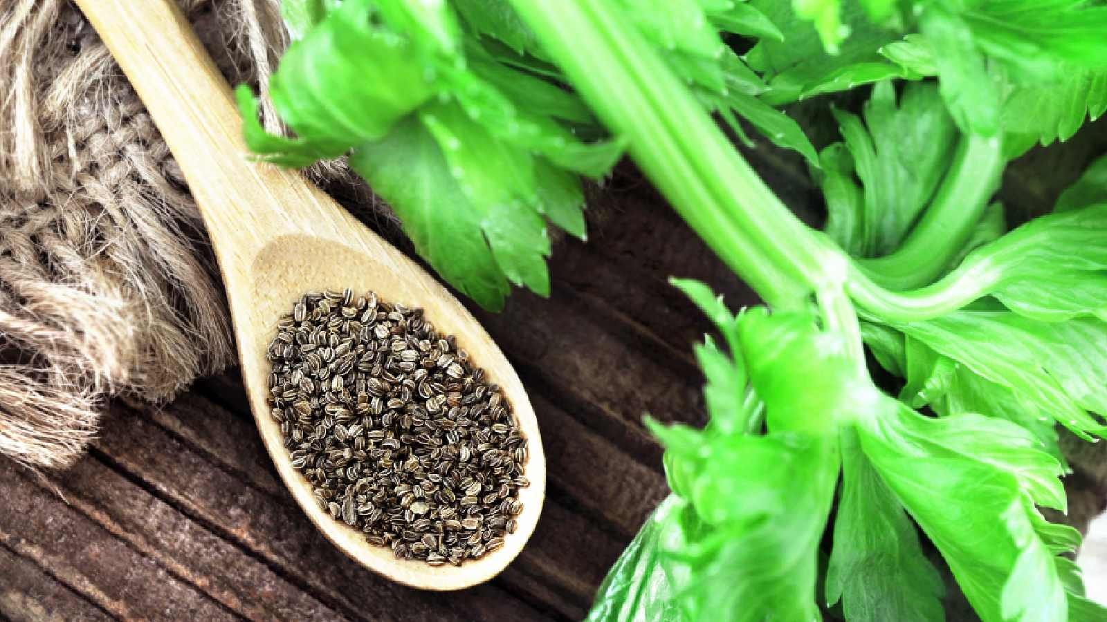 8 celery seed benefits for better heart health, digestion