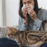 Pet allergy: Symptoms, Causes and How to live with it