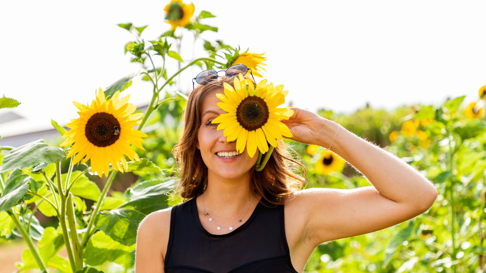 Sunflower seeds for hair: Benefits, and uses